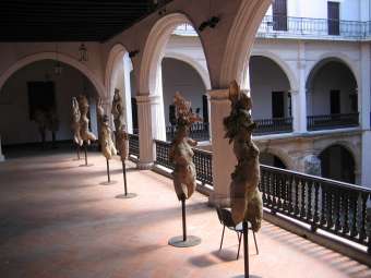IMG_3745.JPG